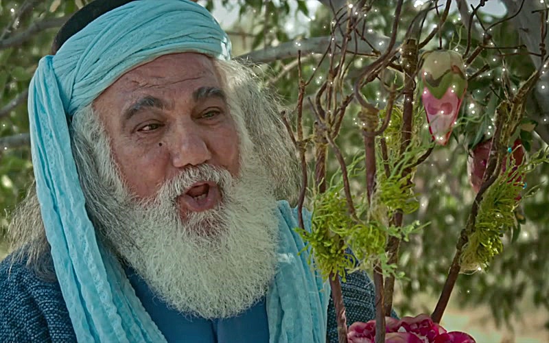 Кокос - сезон 1, эпизод 13