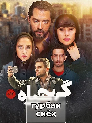 Черная кошка