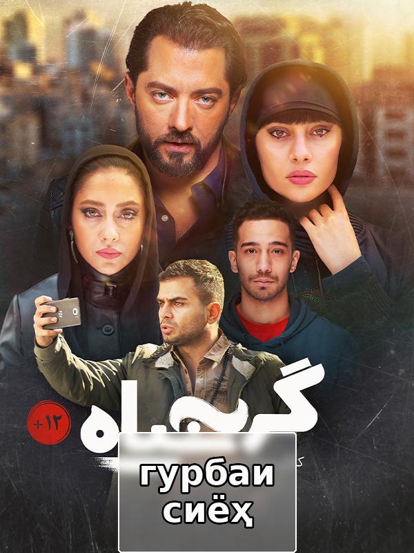 гурбаи сиёҳ