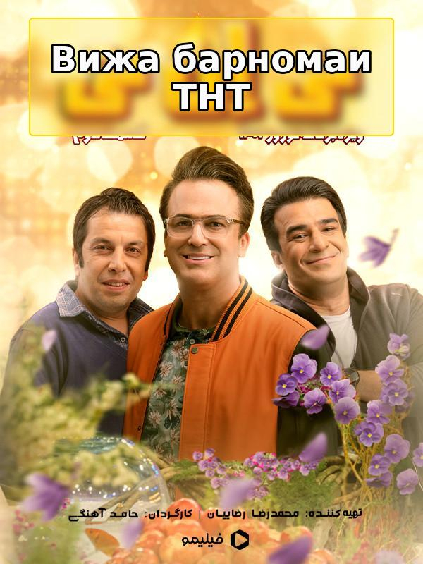 Специальная программа ТНТ