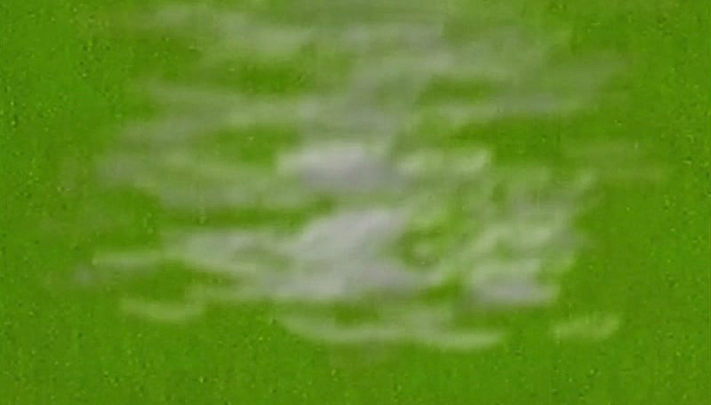 Бумажные цыплята - Сезон 1 Эпизод 22