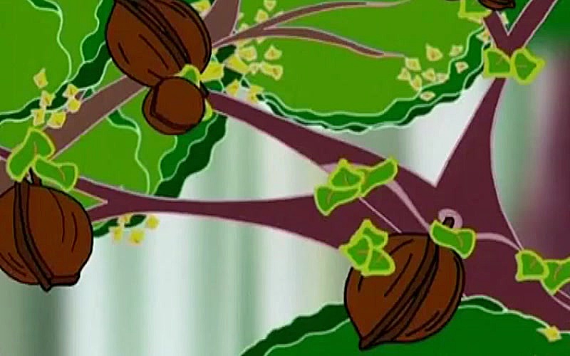 Қаллоғҳо - Фасл 1 Қисм 9