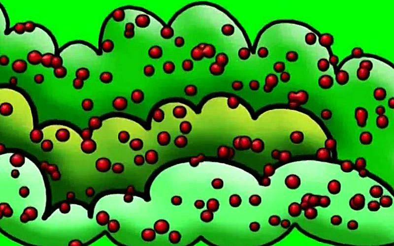 Coco, Where is Today's Story S01E07