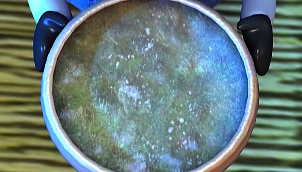 Приключения лисы и петуха - сезон 1 серия 19