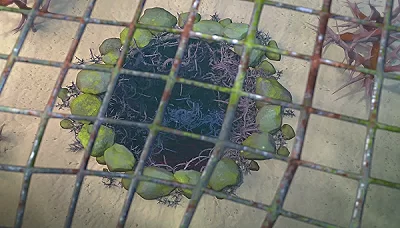 Дельфинёнок - Сезон 1 Серия 8