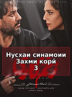 Кинематографическая версия "Zakhm Kari 3: Отомщение".