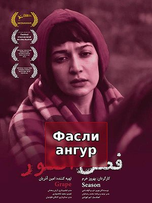 Мавсими ангур