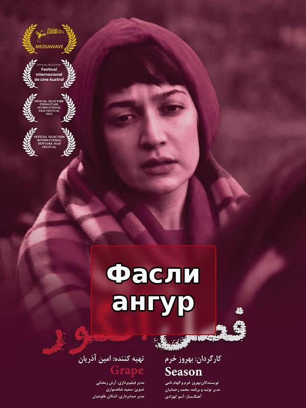 Мавсими ангур