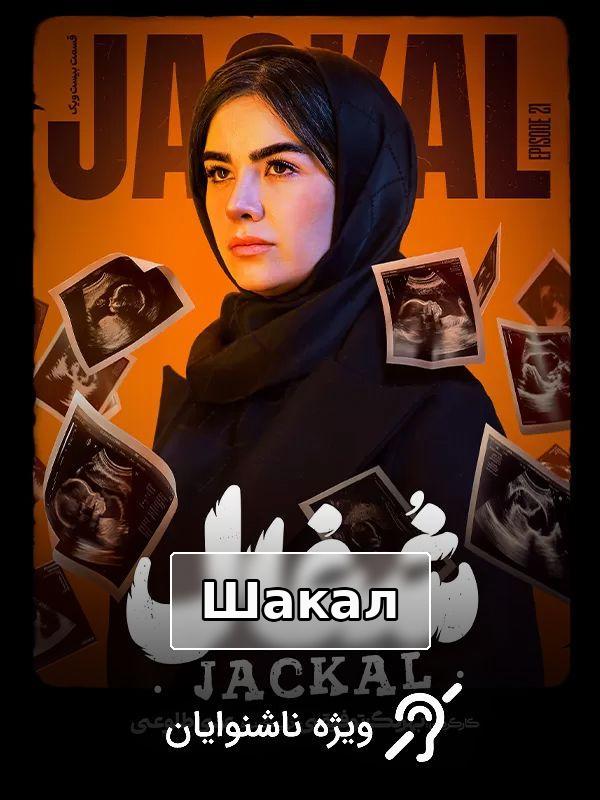 Сериал Шакал