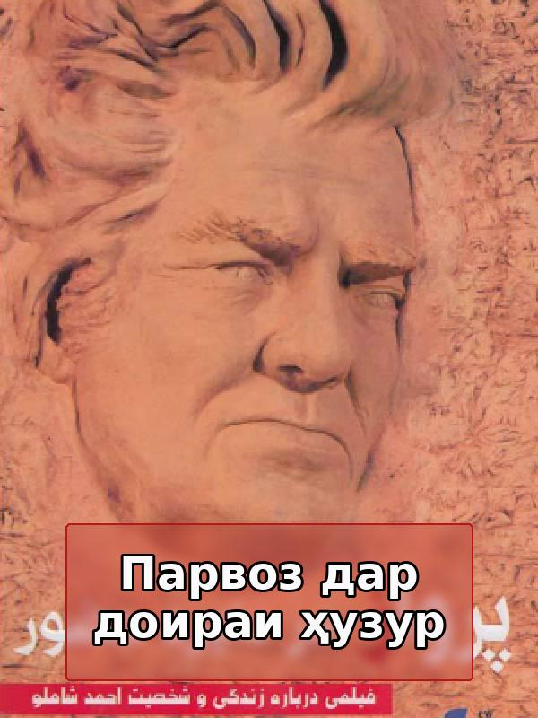 Полёт в круге присутствия