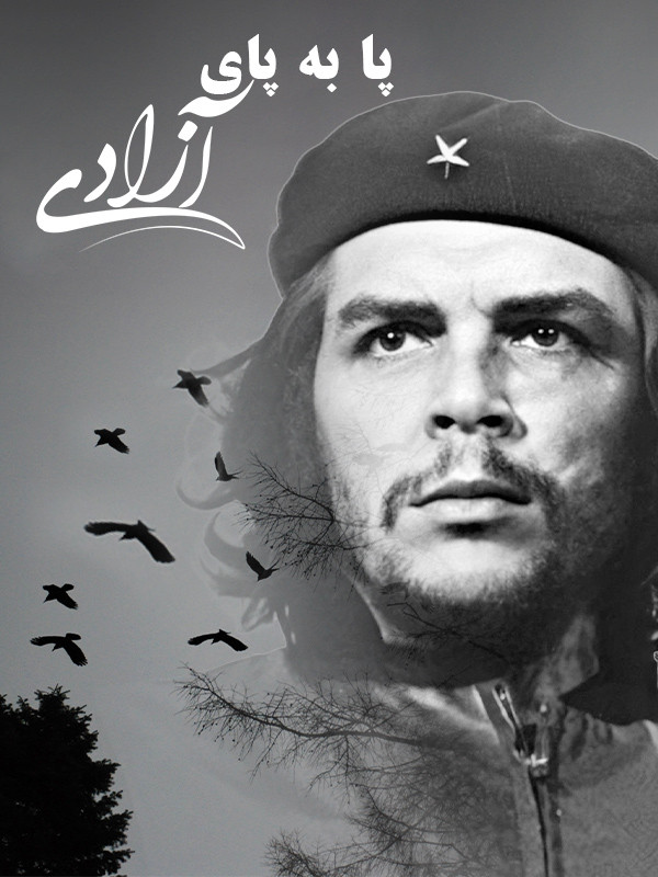 Шаг за шагом к свободе.