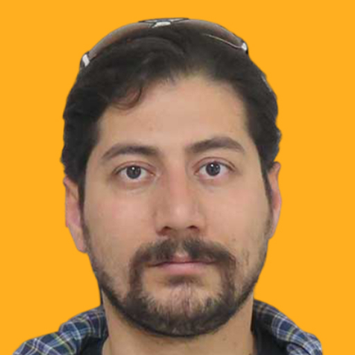 Seyed Mohsen Mirhosseini