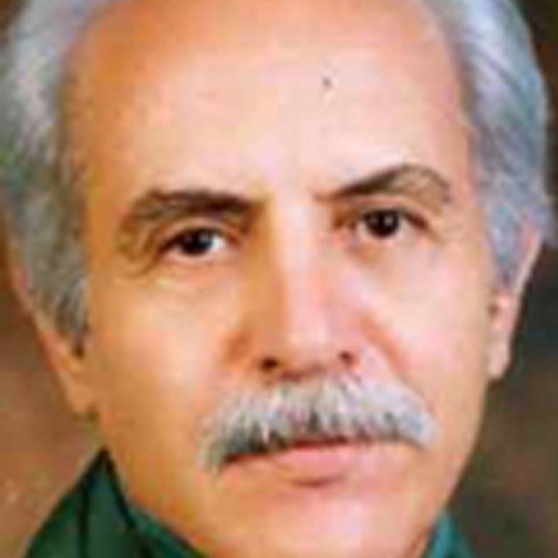 Mostafa Karimi