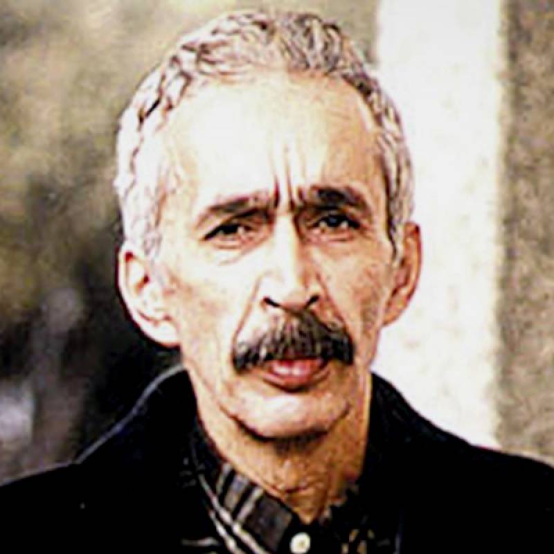 Reza Zhian