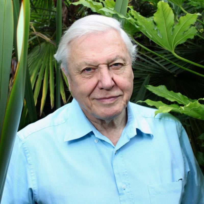 David Attenborough