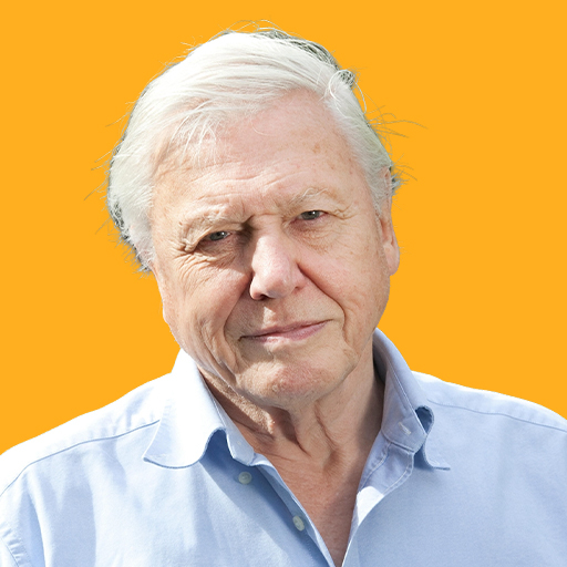 David Attenborough