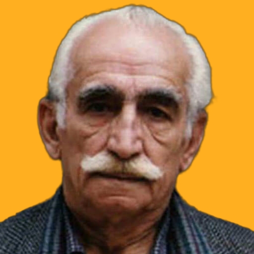 Jafar Bozorgi