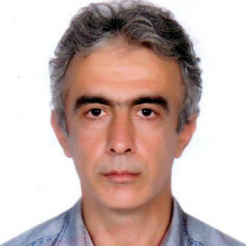 Reza Majlisi