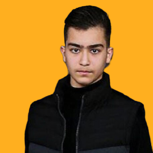 Mohammad Matin Sattari