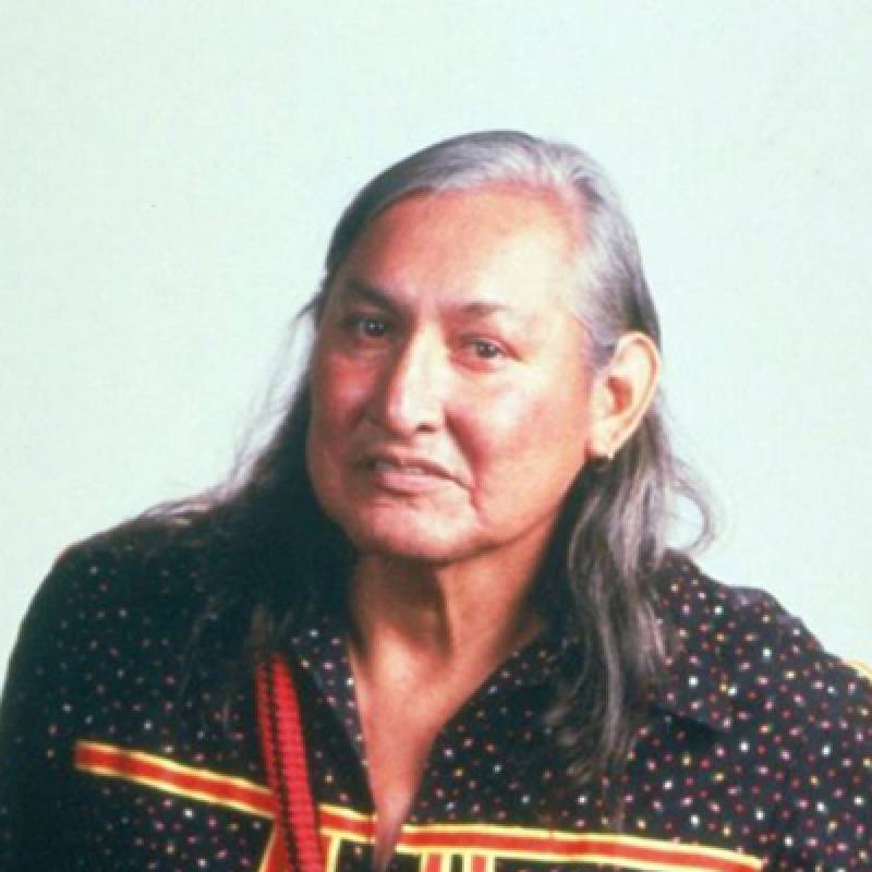 Will Sampson