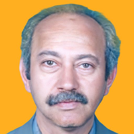 Naqi SeifJamali