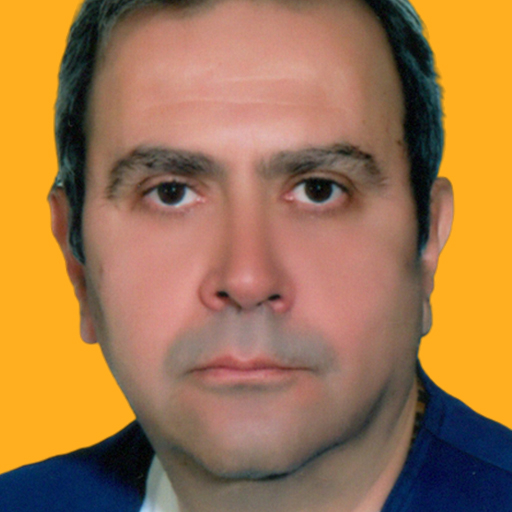 kamyar faroughi